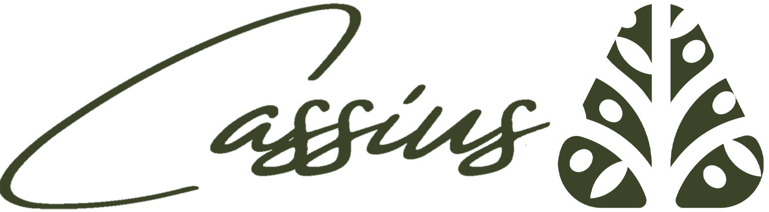 Cassius Zeytin Yağı